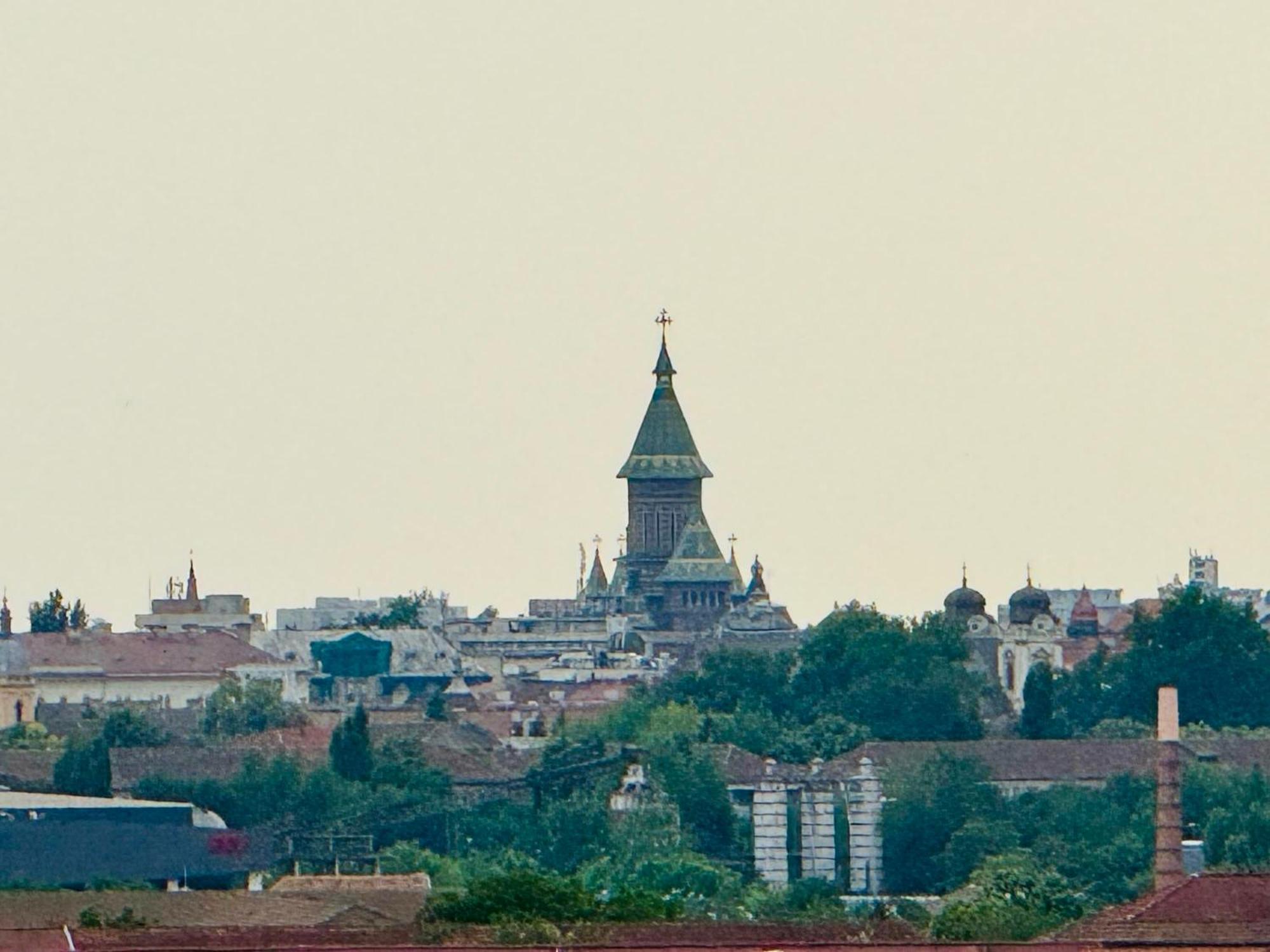 Joy City Stay Forest 84 Timişoara Buitenkant foto